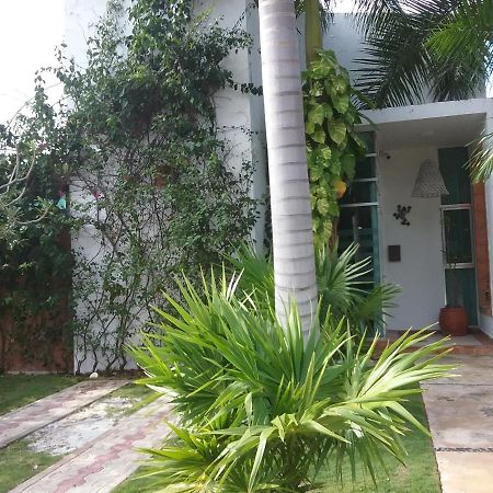 Casa Rioja Playacar Bed & Breakfast Playa del Carmen Exterior photo